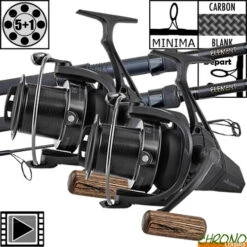 Ensemble Prologic C2 Element 13' 8K (les 2)