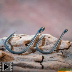 Hameçon Gardner Rigga BCR (les 10)