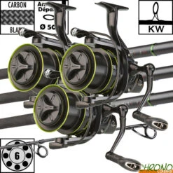 Ensemble Prowess Absolum LTD X 50mm 12' 3.5lbs 5008 FD (les 3)